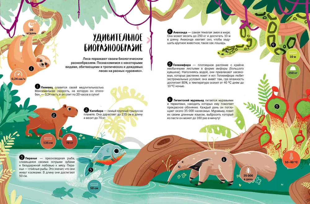 Kas? Kā? Kāpēc? Mani pirmie zināšanas par planētu Zeme