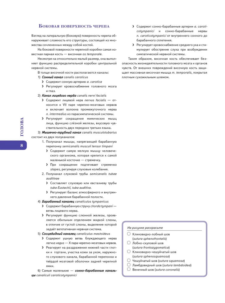Анатомия Абрахамса. Атлас-раскраска