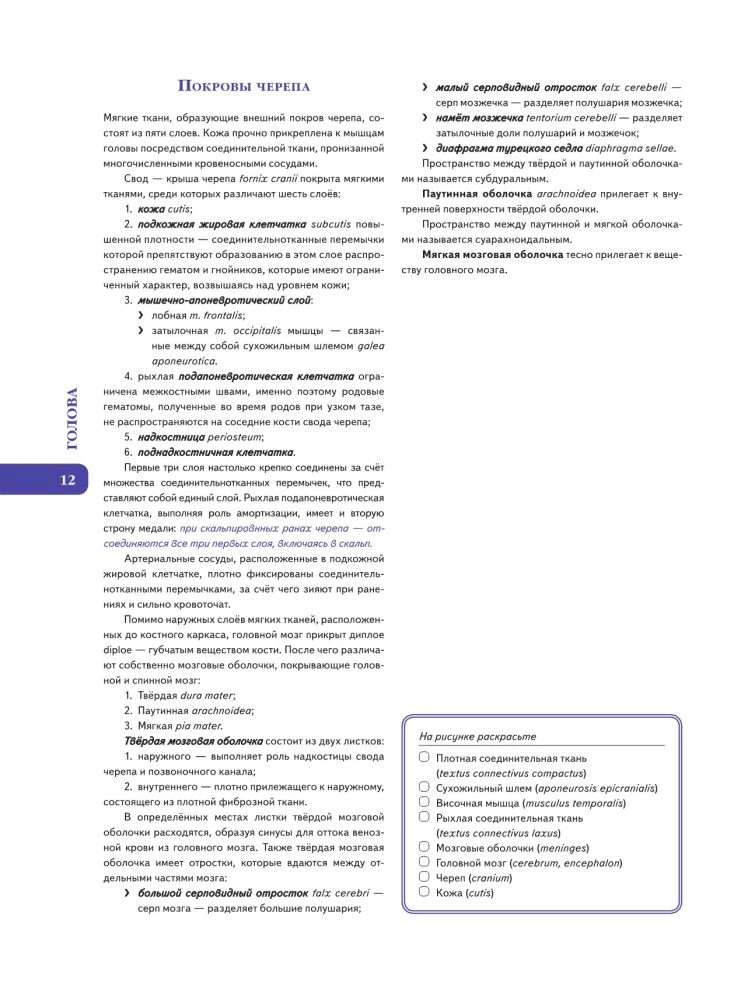 Анатомия Абрахамса. Атлас-раскраска
