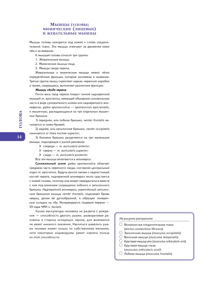 Анатомия Абрахамса. Атлас-раскраска