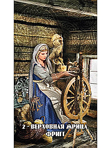 Tarot kārtis Deviņu Pasaulēm (78 kārtis + instrukcija)
