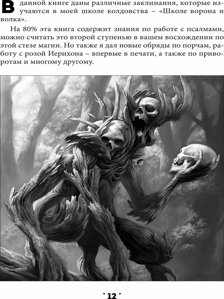 Книга заклинаний. Том 1