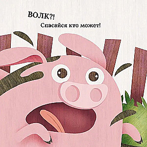 Vilks un cūciņa. Līdzīgi kā divas ūdens pilieni
