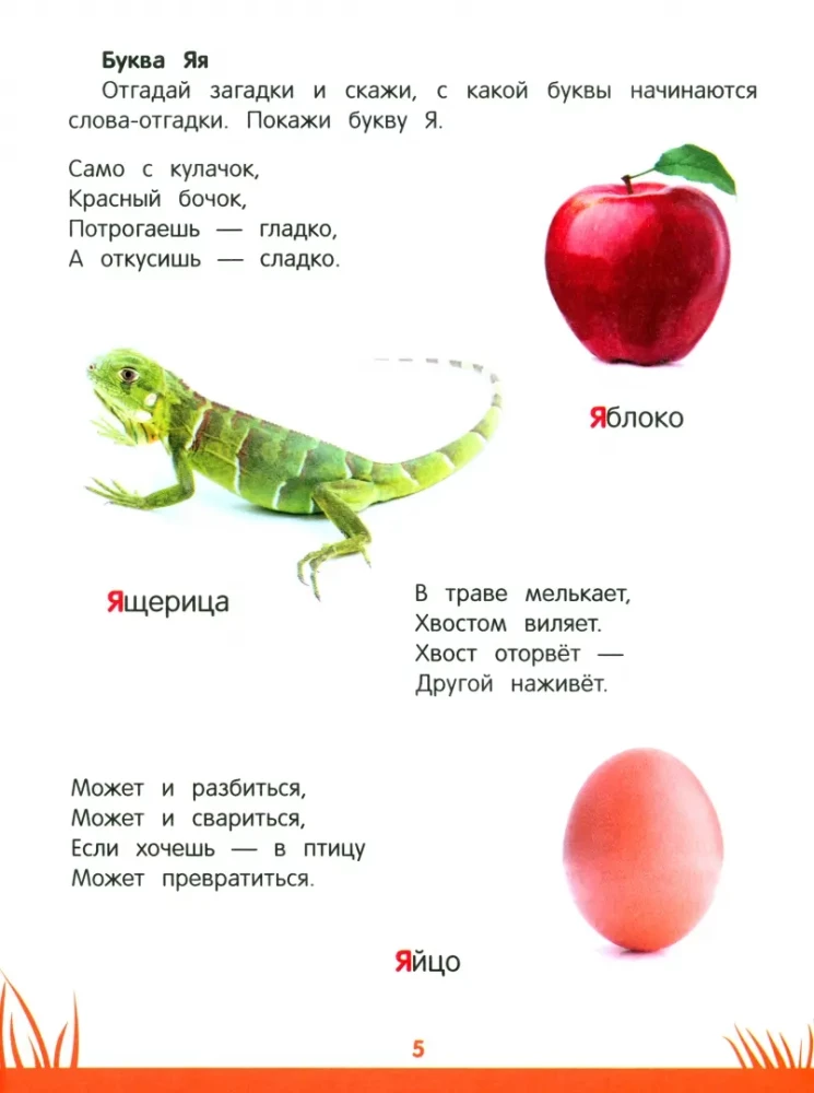 Энциклопедия дошкольника. 4-5 лет