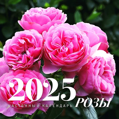 Rozes. Sienas kalendārs 2025. gadam