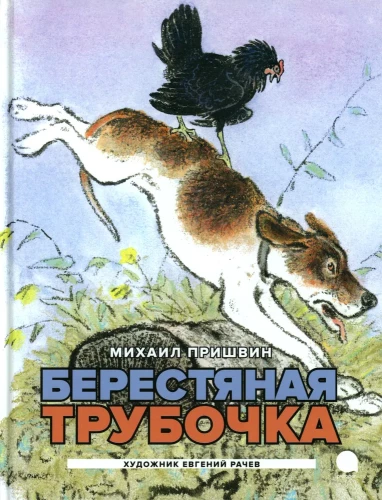 Bērza caurule