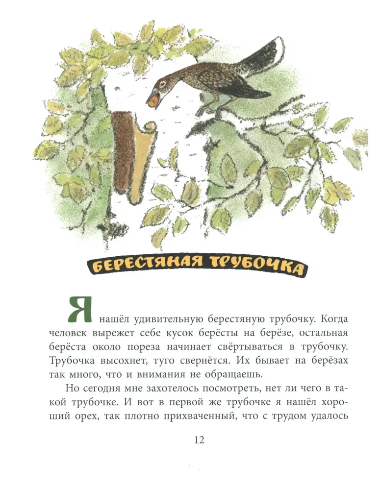 Берестяная трубочка
