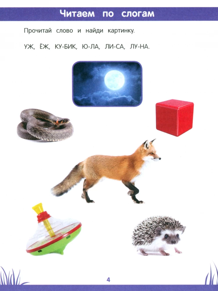 Энциклопедия дошкольника. 5-6 лет