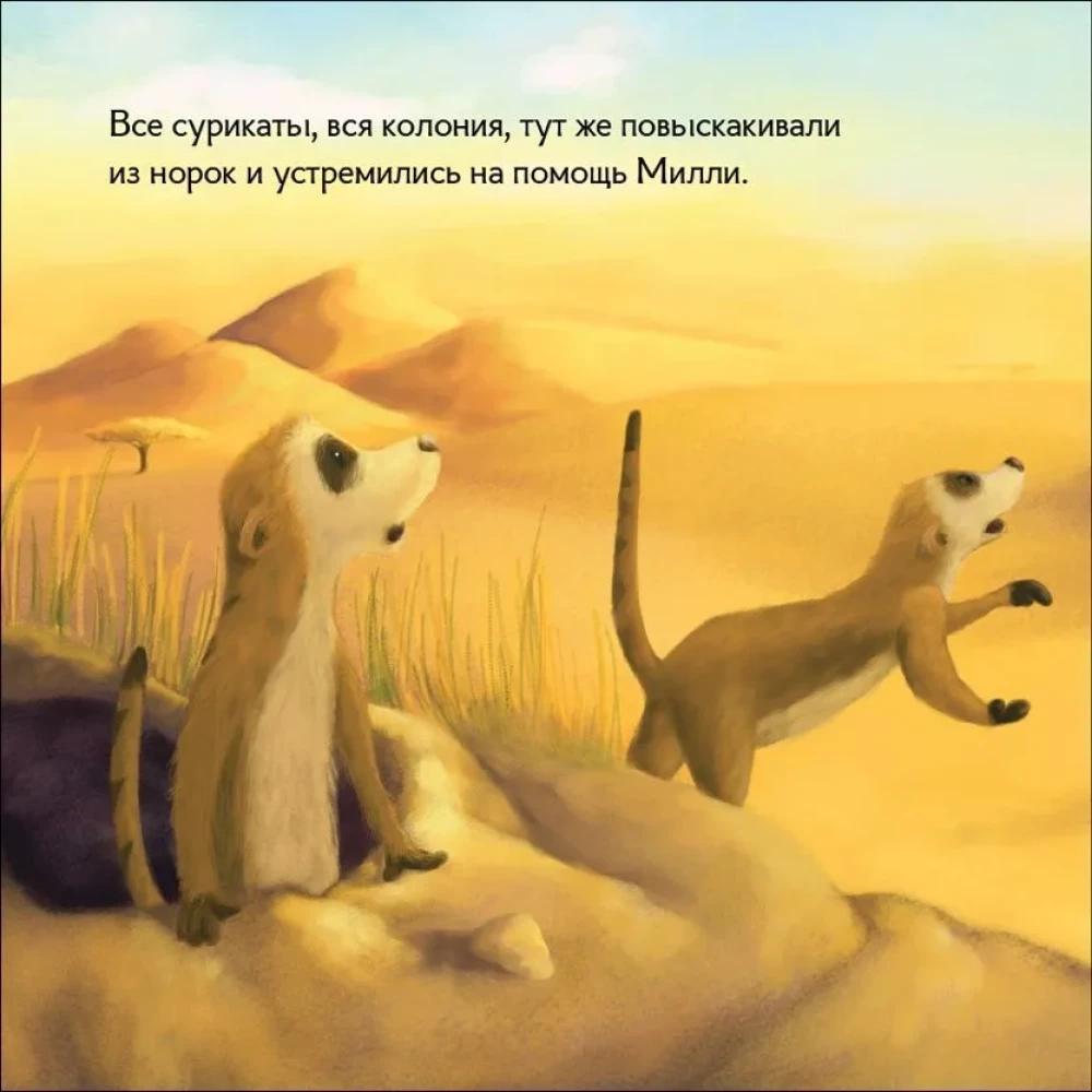 Surikats Millī stāv sargā