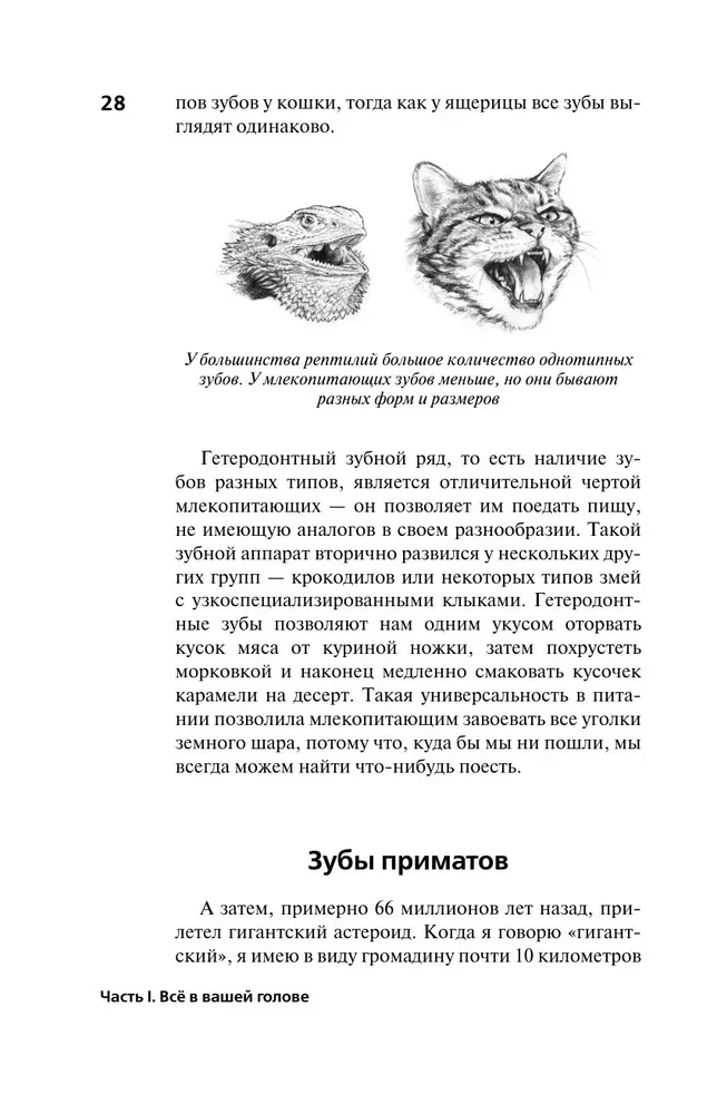 Evolūcijas slazds. Kāpēc mūsu ķermenis sāp