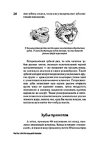 Evolūcijas slazds. Kāpēc mūsu ķermenis sāp