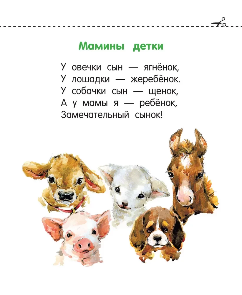 Bolačkas