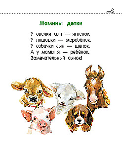Bolačkas