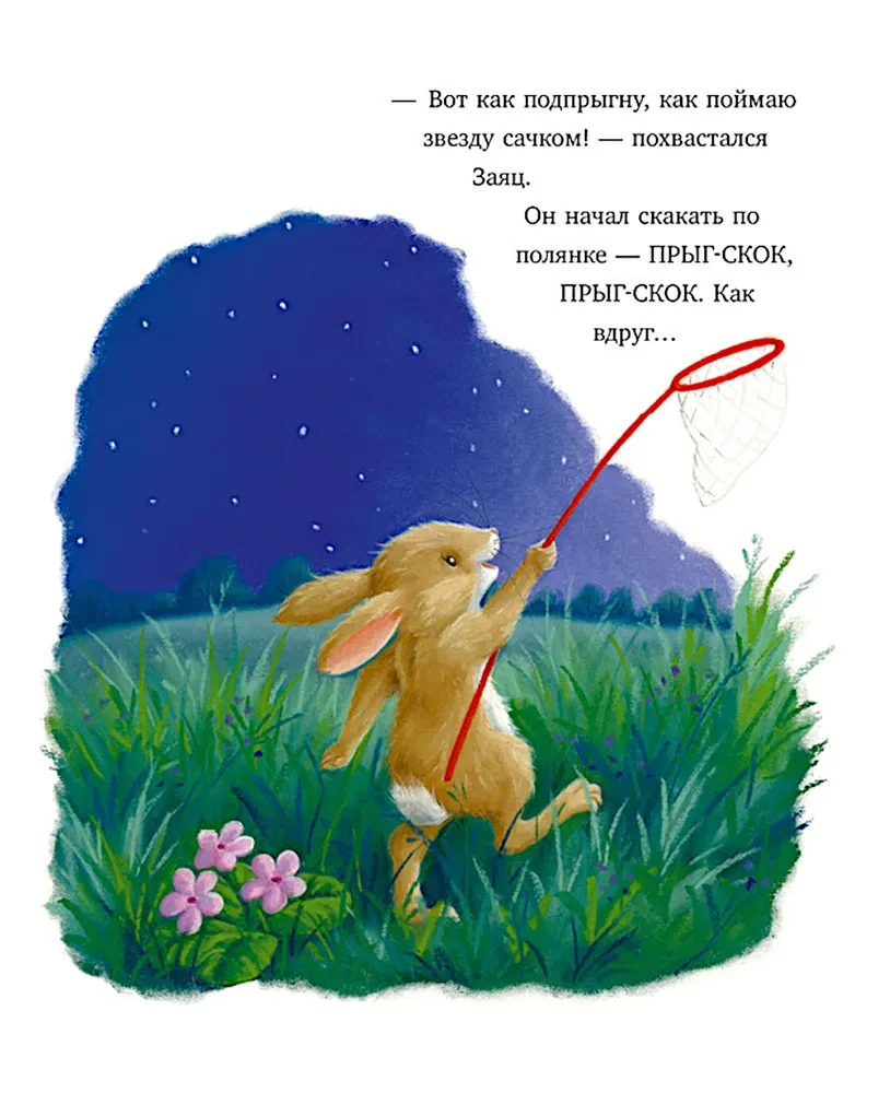 Самая звёздная ночь