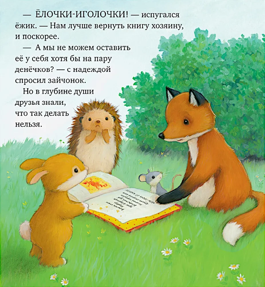 Māja, kur dzīvo grāmatas