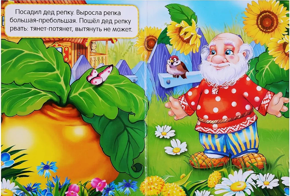 Rāce. Grāmata-puzle