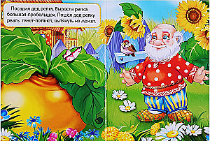 Rāce. Grāmata-puzle