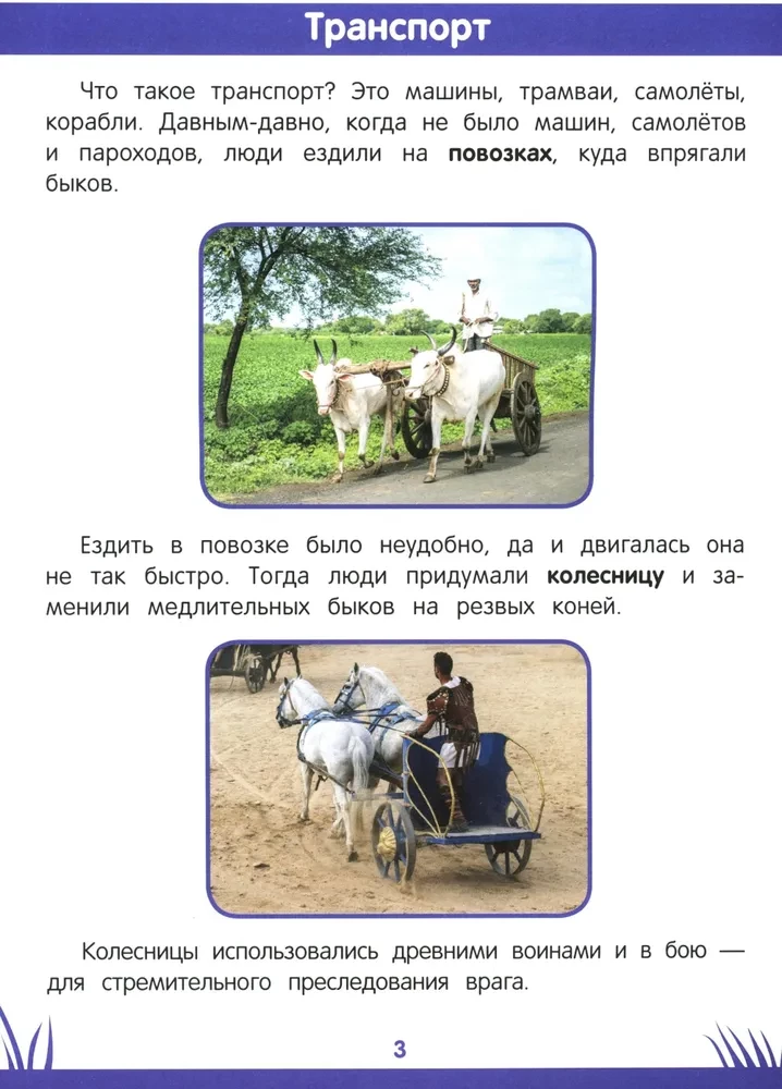 Bērnu zināšanu grāmata. 6-7 gadi: loģika, etiķete un daudz kas cits