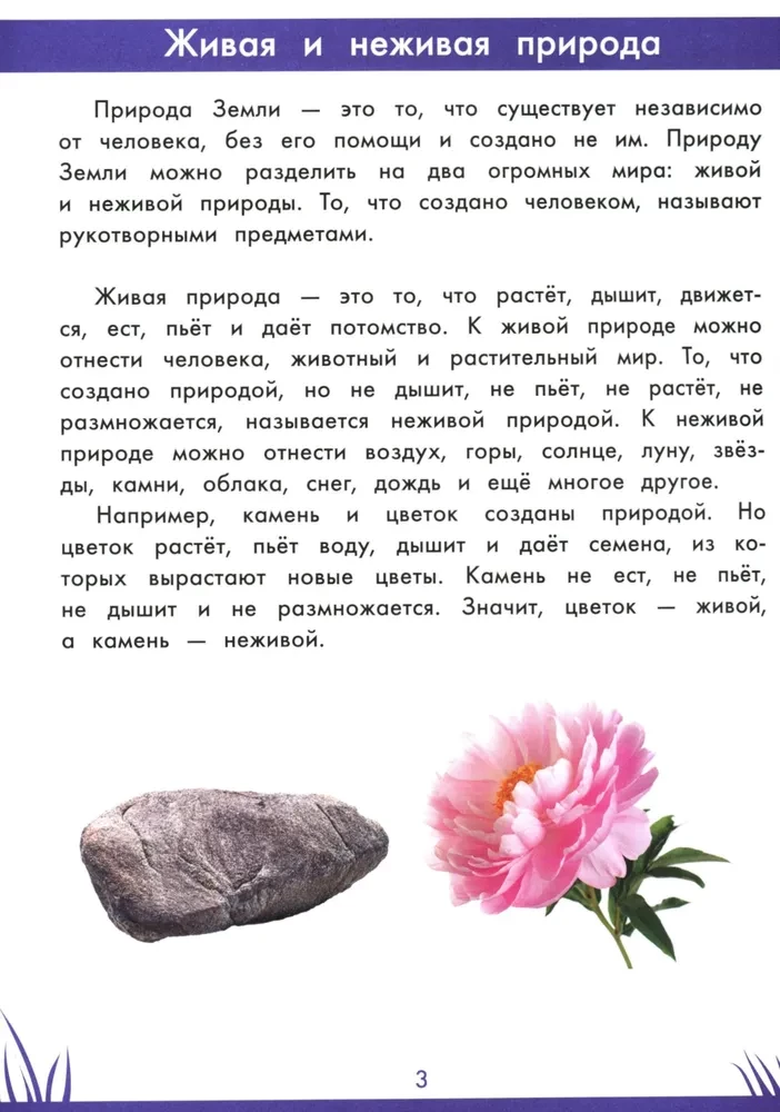 Книга знаний дошкольника. 5-6 лет: окружающий мир и многое другое