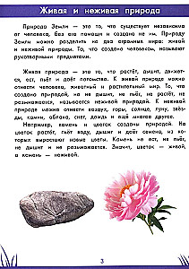 Книга знаний дошкольника. 5-6 лет: окружающий мир и многое другое