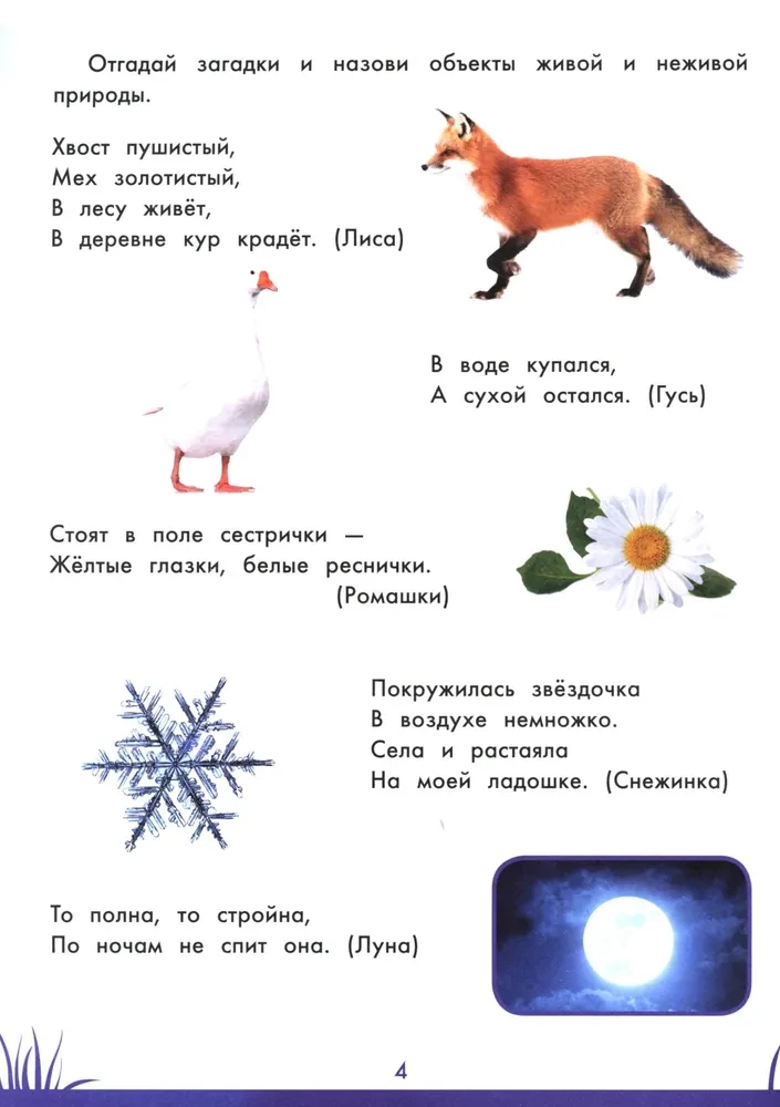 Книга знаний дошкольника. 5-6 лет: окружающий мир и многое другое