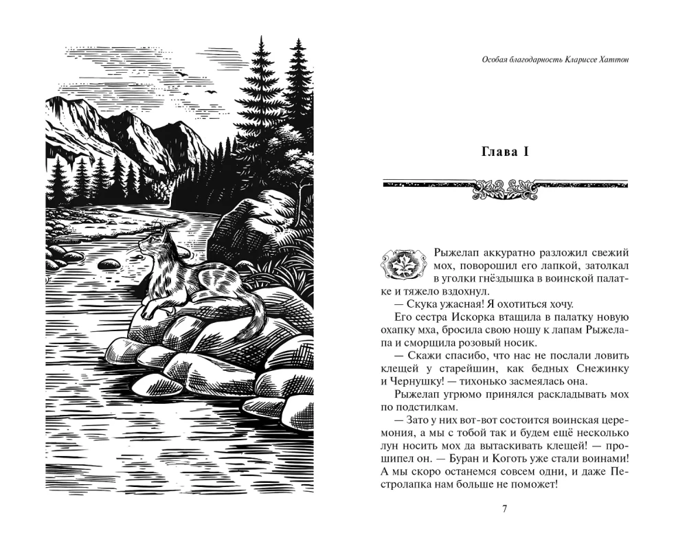 Kaķi karotāji. Nepastāstītās stāsti. Jārohvosta pienākums