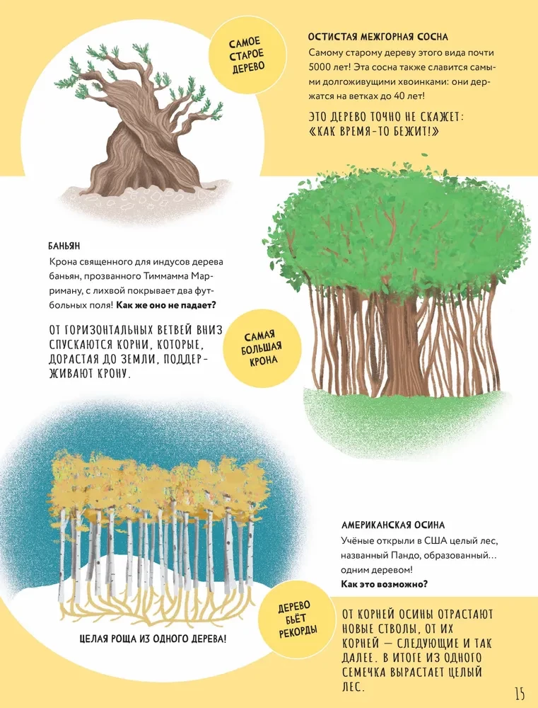 Koku noslēpumi