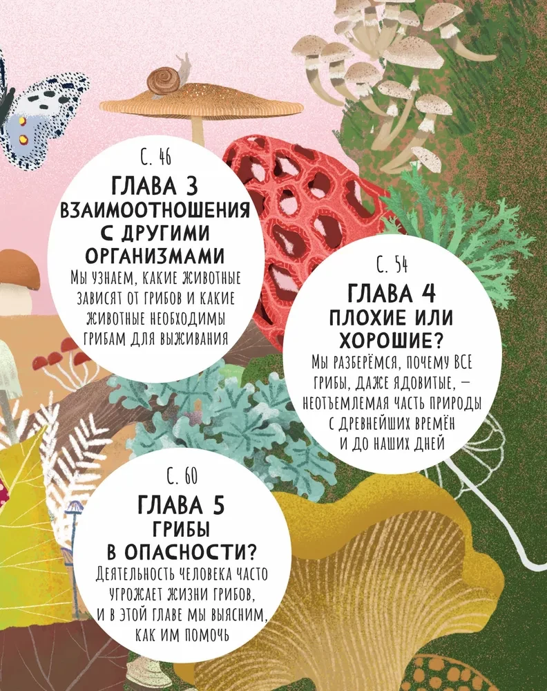 Тайны грибов