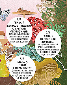 Тайны грибов