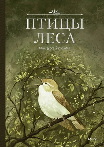 Meža putni. Mākslas grāmata