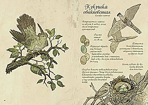 Meža putni. Mākslas grāmata
