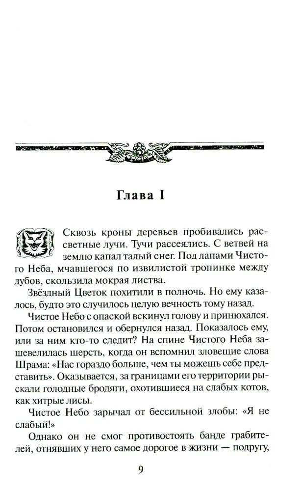 Kaķi-karotāji. Zvaigžņu ceļš