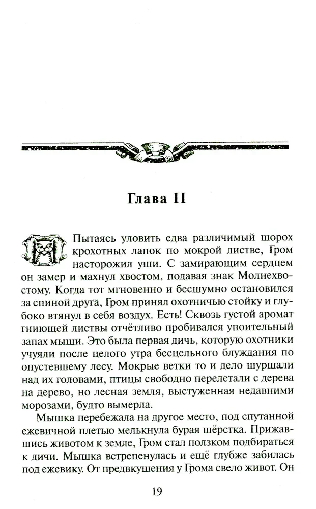 Kaķi-karotāji. Zvaigžņu ceļš