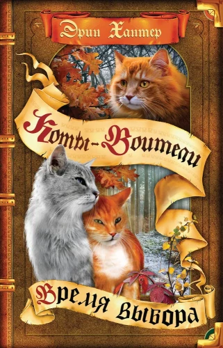 Коты-воители. Время выбора