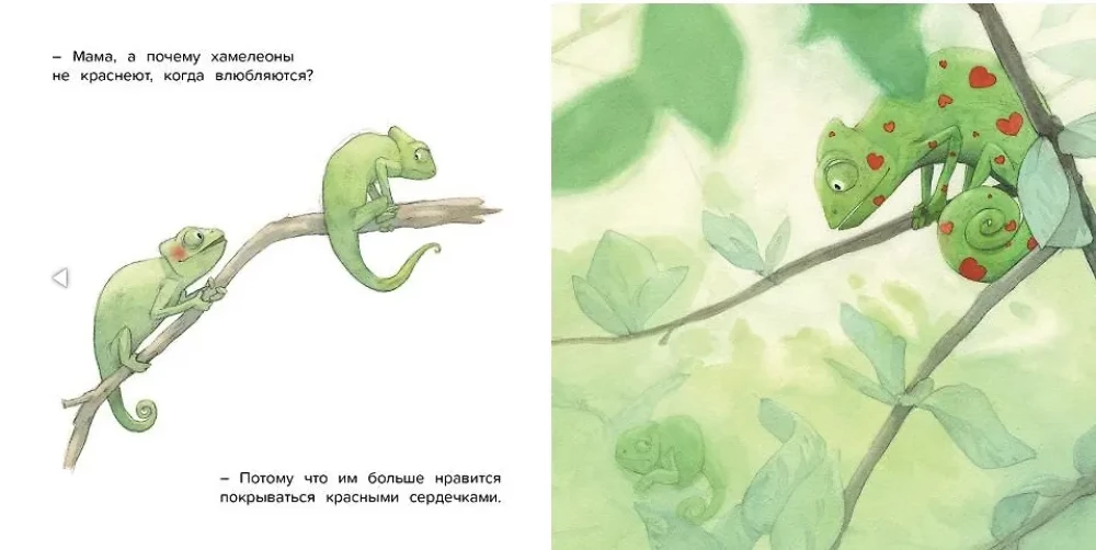 Mamma, kāpēc?