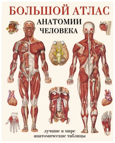 Lielais cilvēka anatomijas atlants