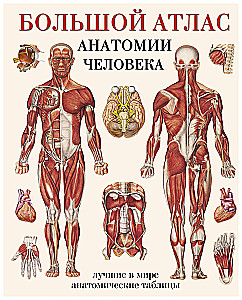Lielais cilvēka anatomijas atlants