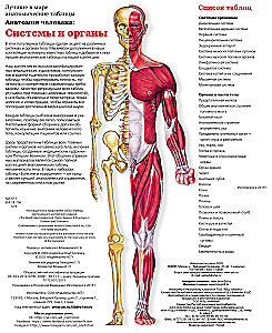 Lielais cilvēka anatomijas atlants