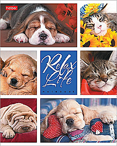Zinātnes burtnīca - Relax Life, A5, 24 lapas, rūtiņas, dažādība