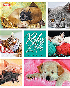 Zinātnes burtnīca - Relax Life, A5, 24 lapas, rūtiņas, dažādība