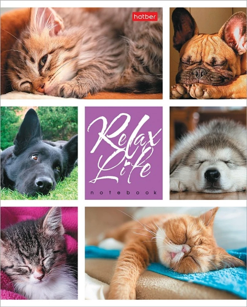 Zinātnes burtnīca - Relax Life, A5, 24 lapas, rūtiņas, dažādība