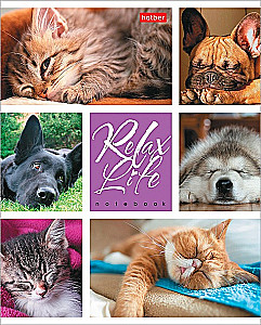 Zinātnes burtnīca - Relax Life, A5, 24 lapas, rūtiņas, dažādība