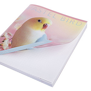 Burtnīca - Pastel Animals, A5, 96 lapas, rūtiņas, dažādība