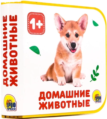 Mājas dzīvnieki