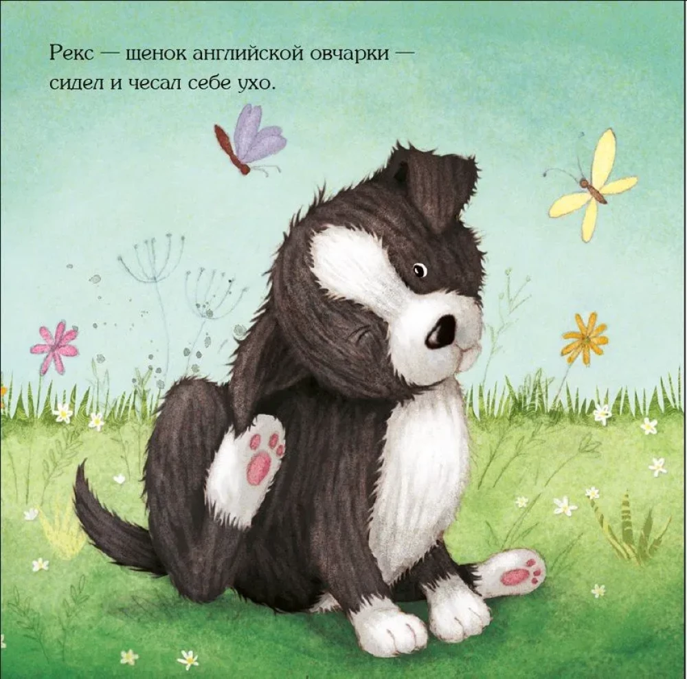 Рекс, озорной щенок