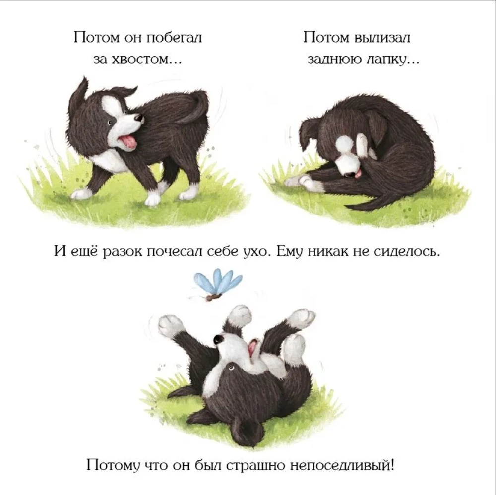 Рекс, озорной щенок