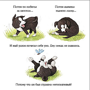 Рекс, озорной щенок