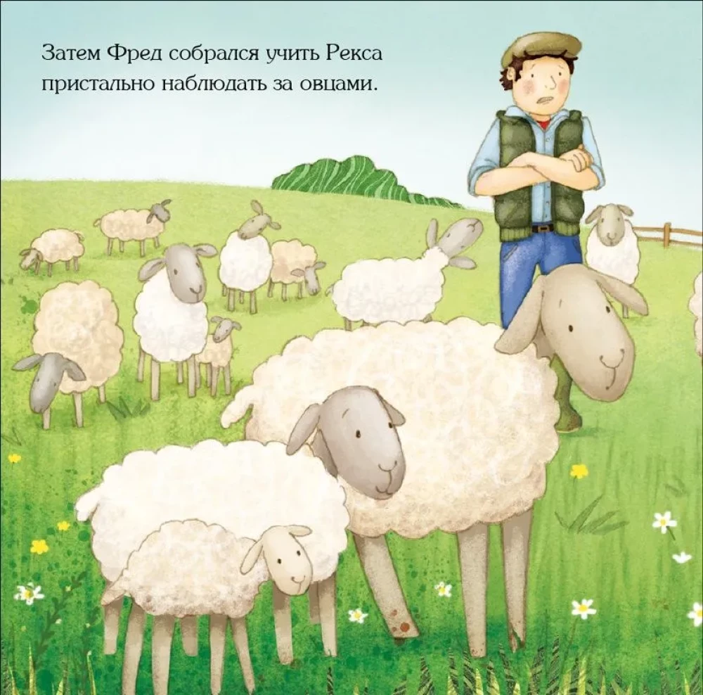 Рекс, озорной щенок
