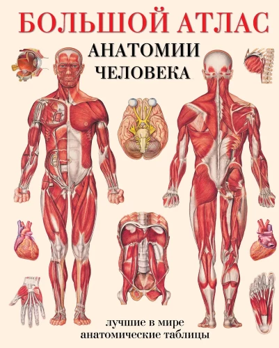 Liels cilvēka anatomijas atlants