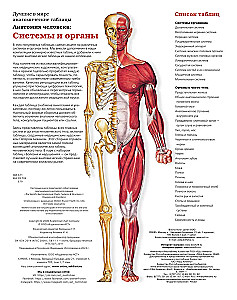 Большой атлас анатомии человека